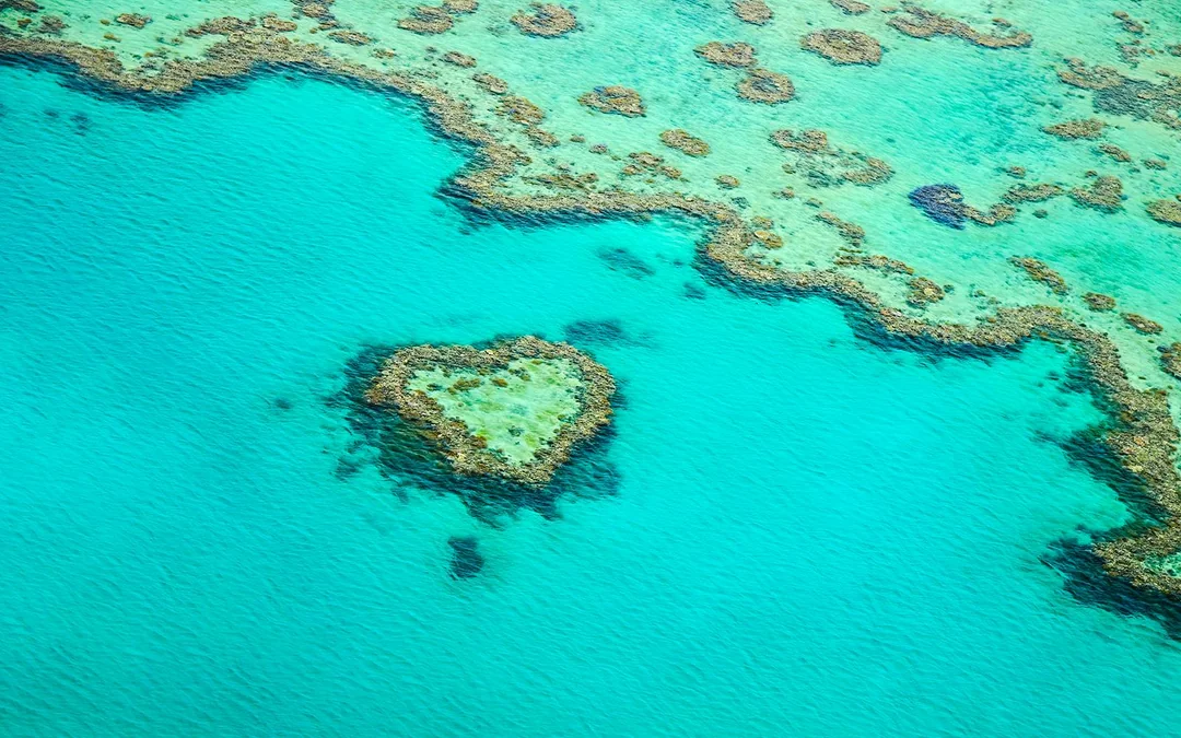 From Airlie Beach: Whitsunday Islands & Heart Reef 60-Minute Scenic Flight Image 4