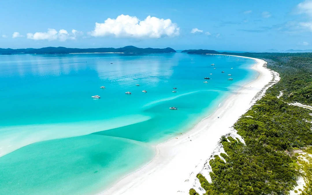 From Airlie Beach: Whitsunday Islands & Heart Reef 60-Minute Scenic Flight Image 5