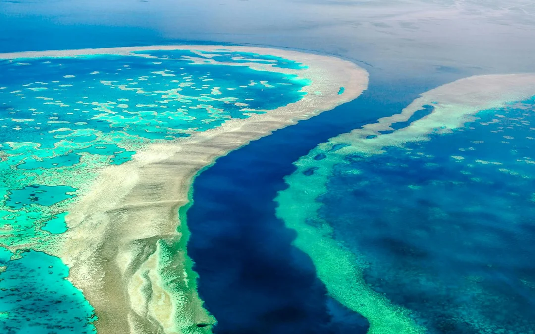 From Airlie Beach: Whitsunday Islands & Heart Reef 60-Minute Scenic Flight Image 8