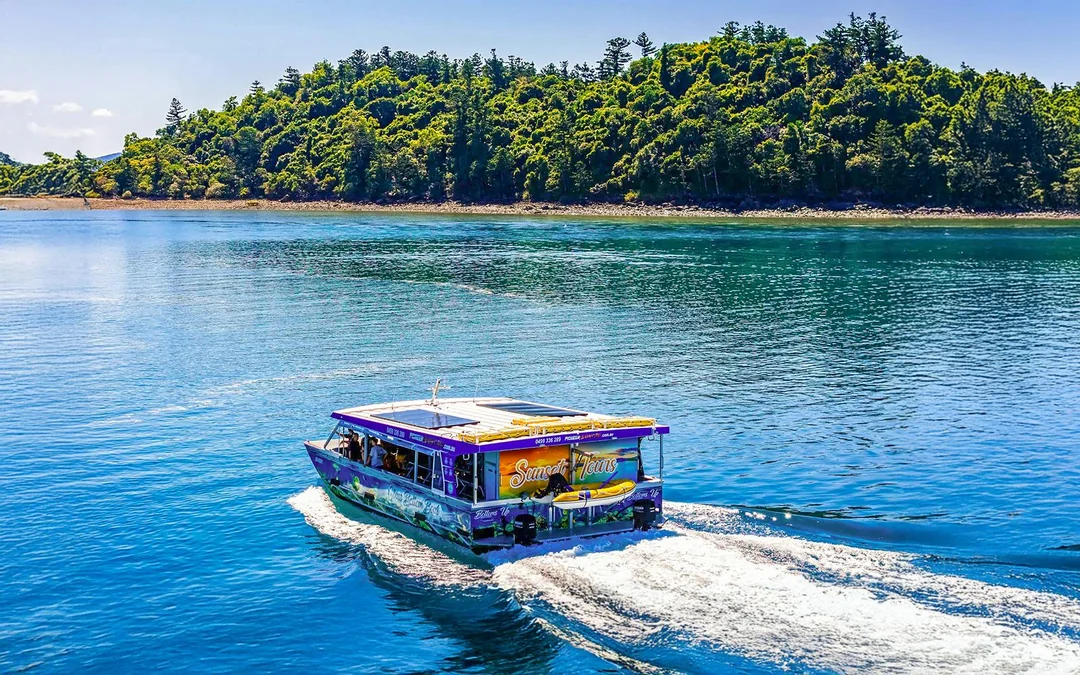 From Airlie Beach: Whitsundays Glass-Bottom Boat Tour Image 10