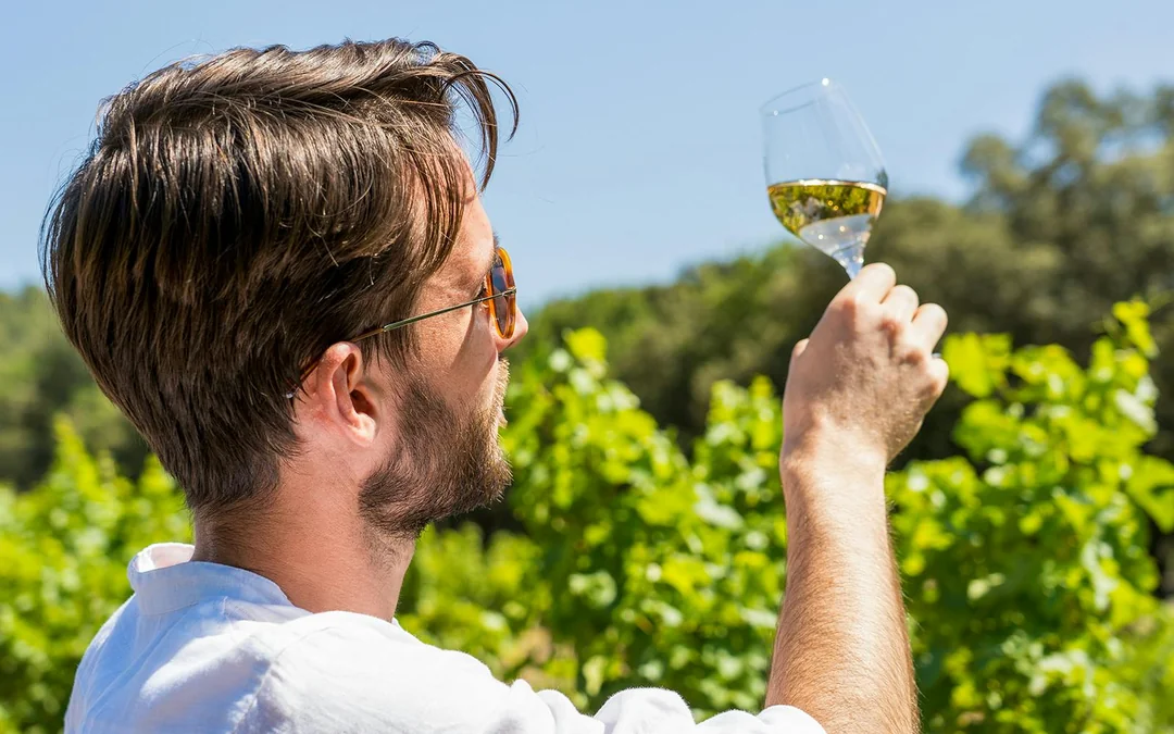 From Aix-En-Provence: Côtes de Provence Wine Tour Image 6