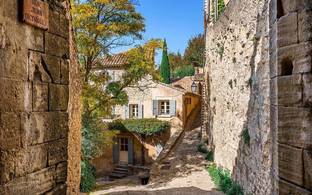 From Aix-En-Provence: Lavender Fields Full-Day Guided Tour Image 10