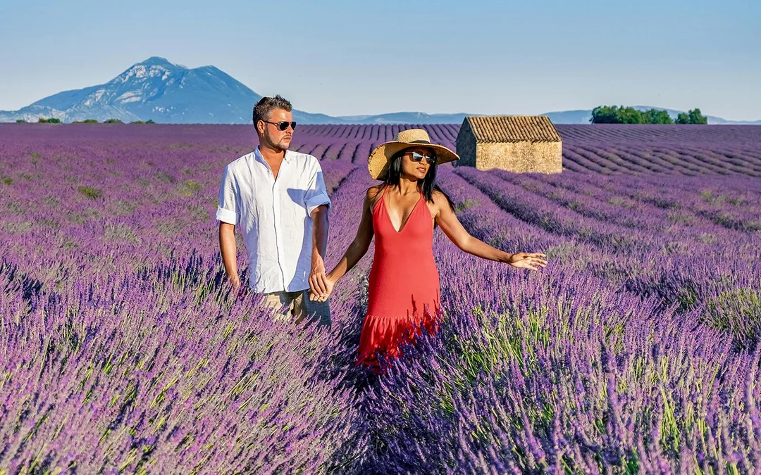 From Aix-En-Provence: Lavender Fields Tour Image 1