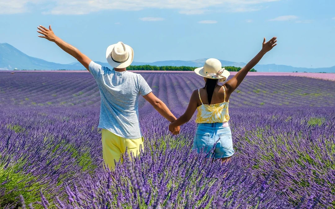From Aix-En-Provence: Lavender Fields Tour Image 3