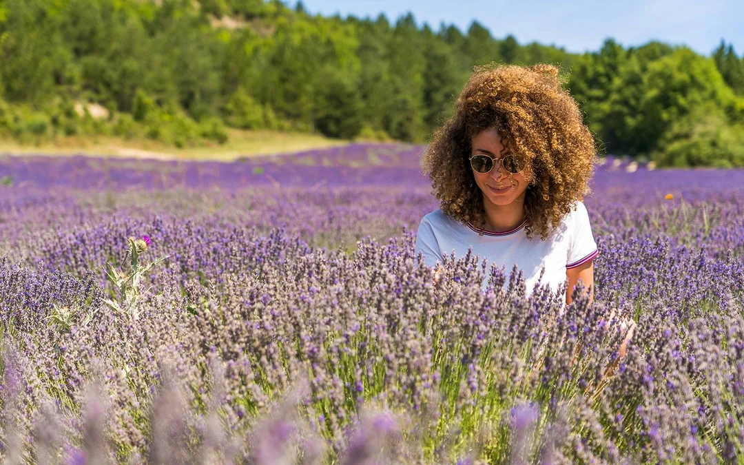 From Aix-En-Provence: Lavender Fields Tour Image 4