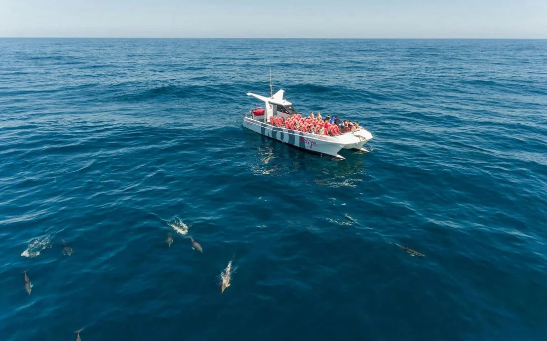 From Albufeira: Benagil Cave Catamaran Cruise & Dolphin Watching Image 5
