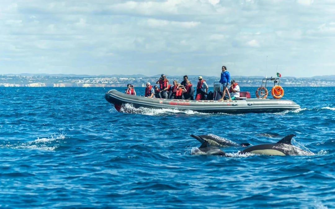 From Albufeira: Benagil Cave Speedboat Tour & Dolphin Watching Image 3