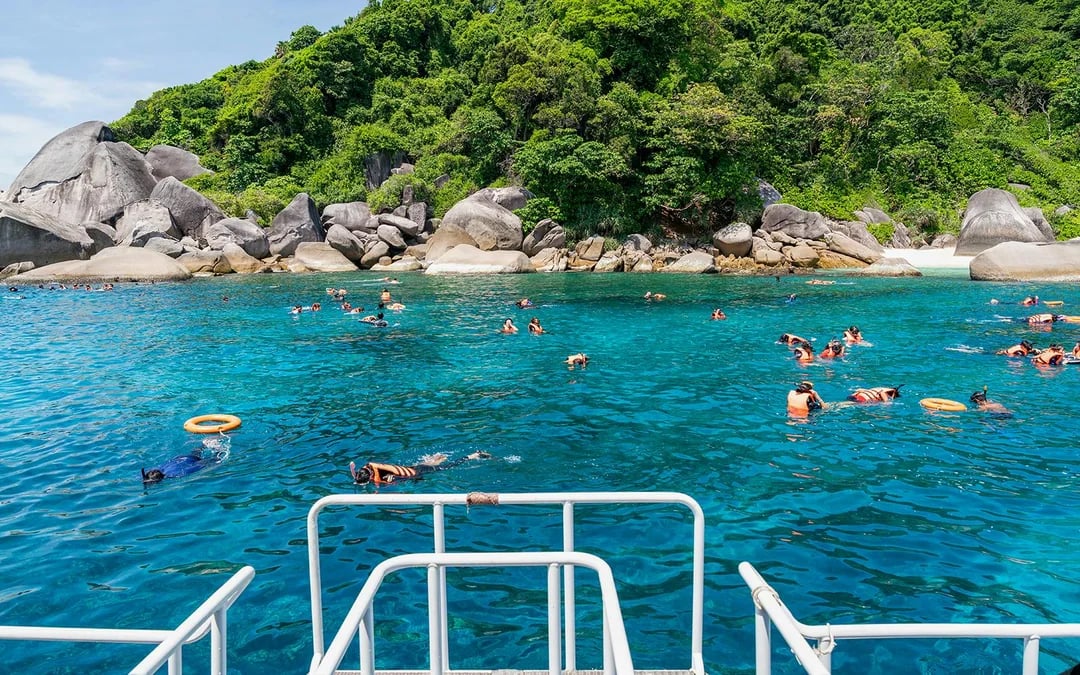 From Alcudia: Half-day Catamaran Cruise Image 6