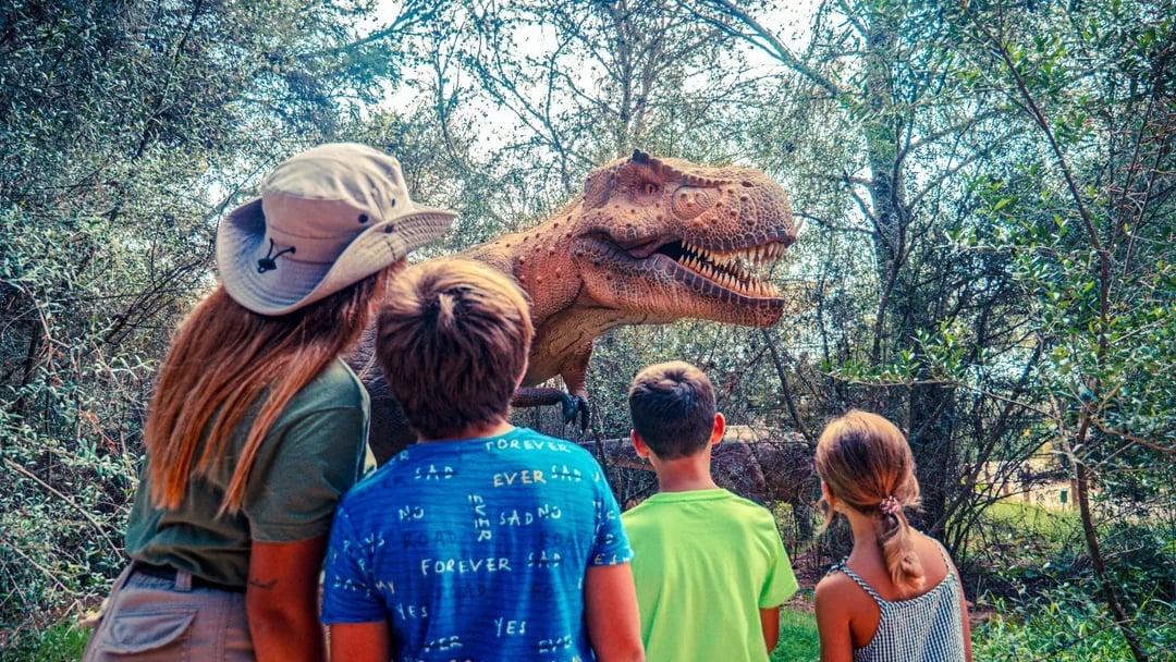 From Alcúdia: Hams' Caves Half-Day Trip with Dinosaurland Image 3