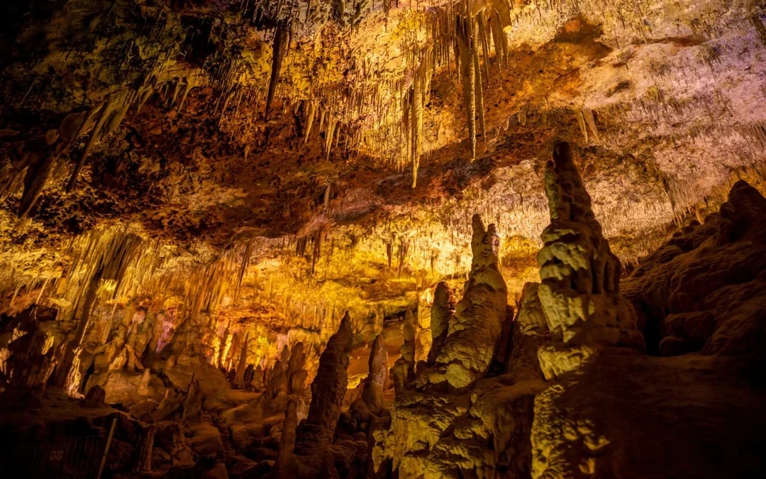 From Alcúdia: Hams' Caves Half-Day Trip with Dinosaurland Image 7