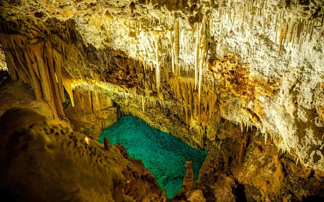 From Alcúdia: Hams' Caves Half-Day Trip with Dinosaurland Image 8