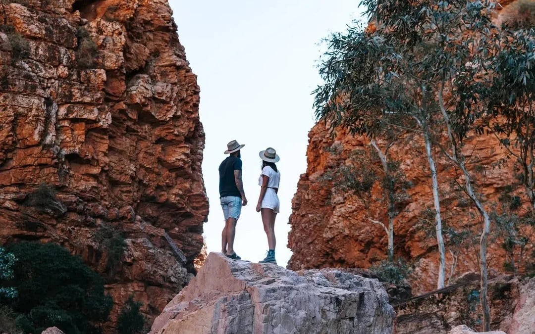From Alice Springs: 2D/1N Uluru–Kata Tjuta Small Group Outback Camping Tour Image 6