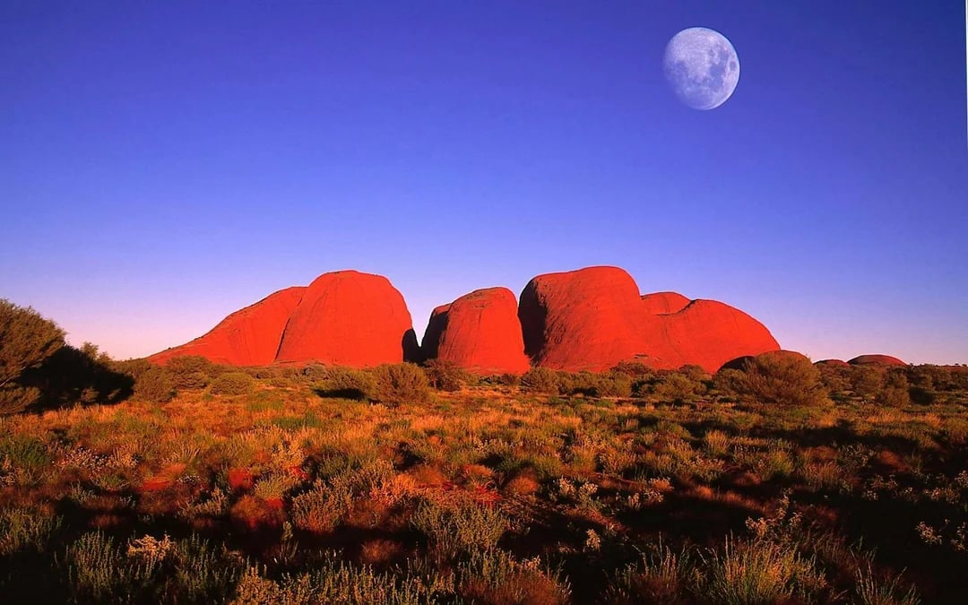 From Alice Springs: Uluru Full Day Tour with Sunset BBQ Dinner & Hotel Transfers Image 12