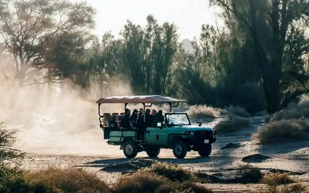 From AlUla: Hegra Nature Reserve Guided 4x4 Wildlife Safari Image 11