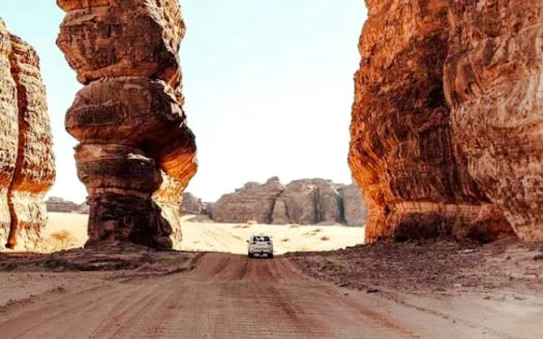 From AlUla: Hegra Nature Reserve Guided 4x4 Wildlife Safari Image 4