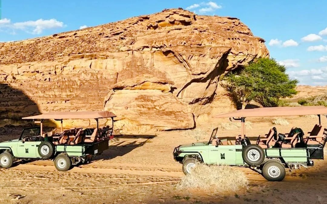 From AlUla: Hegra Nature Reserve Guided 4x4 Wildlife Safari Image 10