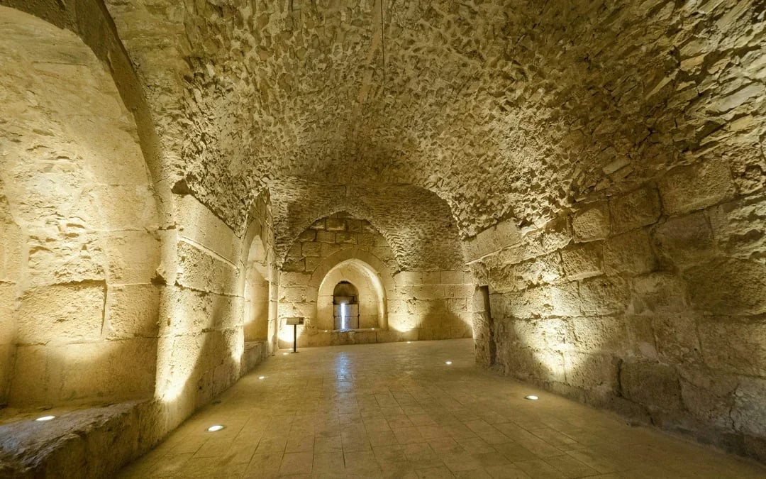 From Amman: Full Day Tour to Jerash, Ajloun and Umm Qais Image 10