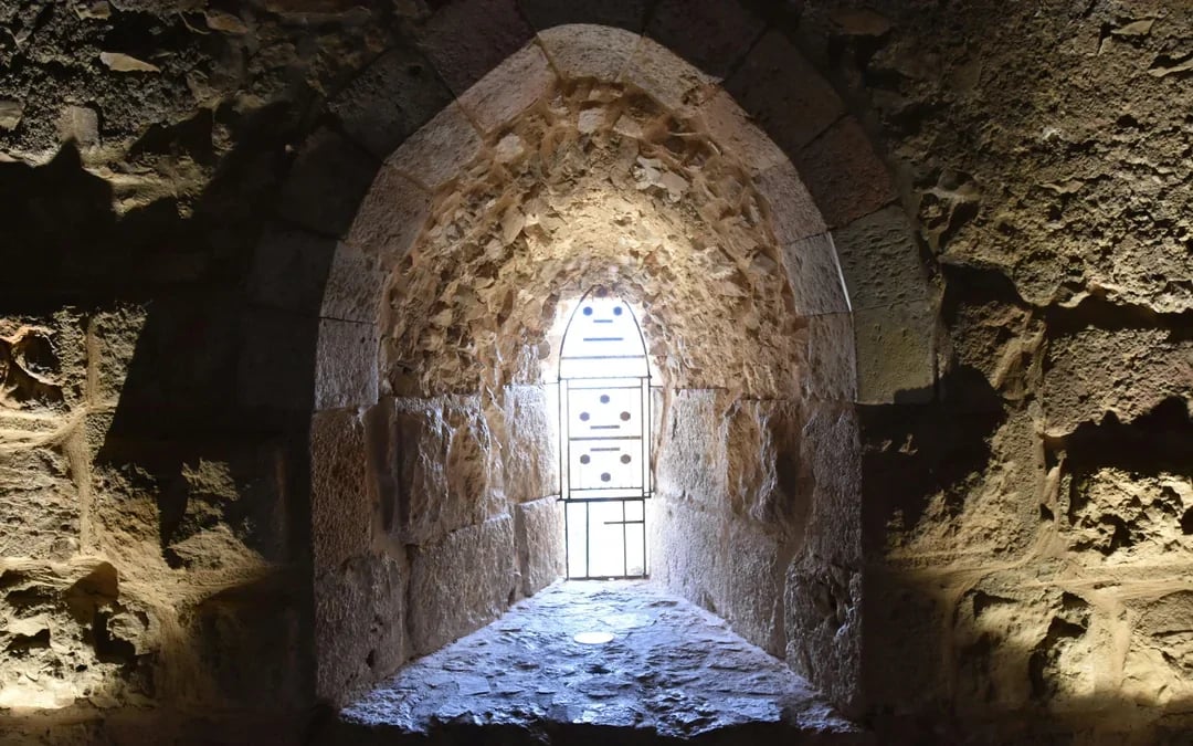 From Amman: Jerash Ruins and Ajloun Castle Guided Tour Image 5