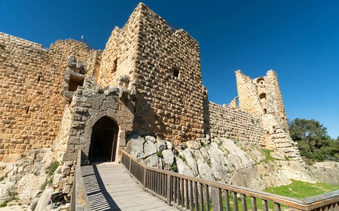 From Amman: Jerash Ruins and Ajloun Castle Guided Tour Image 9