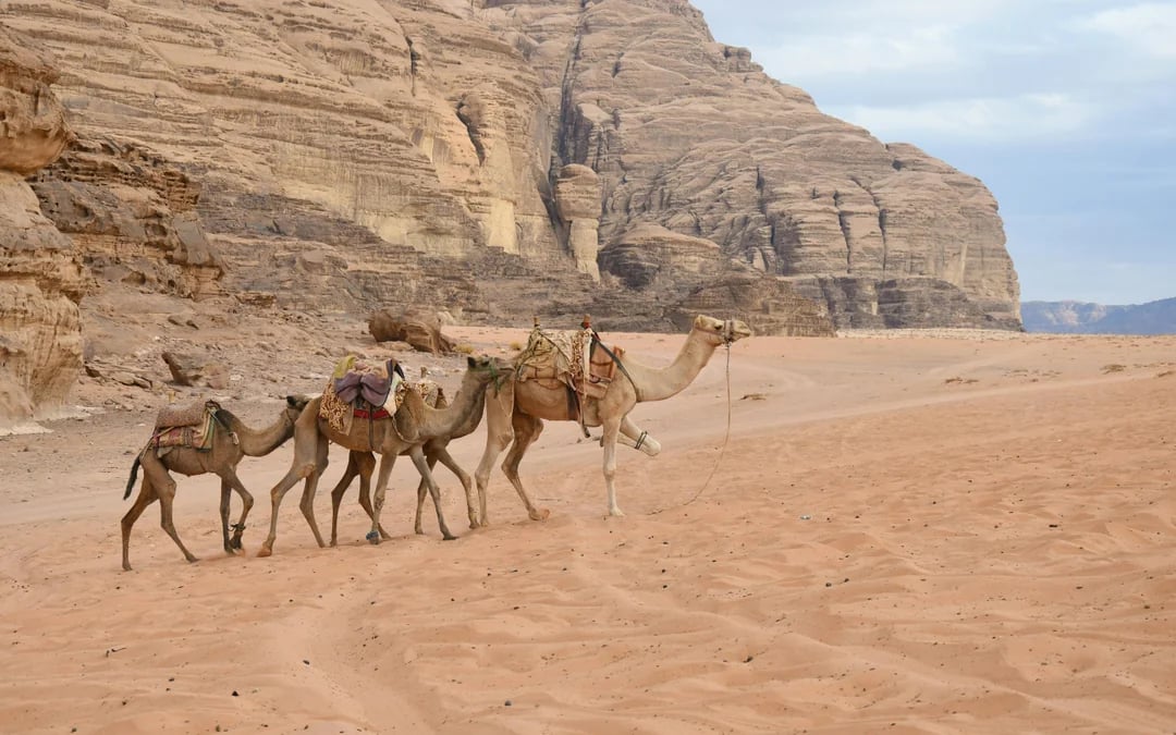 From Amman: Wadi Rum 4x4 Jeep Desert Safari with Bedouin Guide Image 6