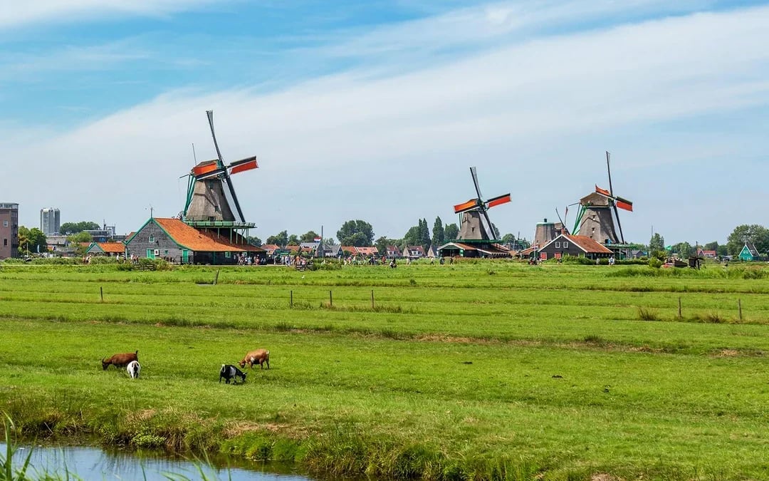 From Amsterdam: Giethoorn and Zaanse Schans Windmills Day Trip Image 7