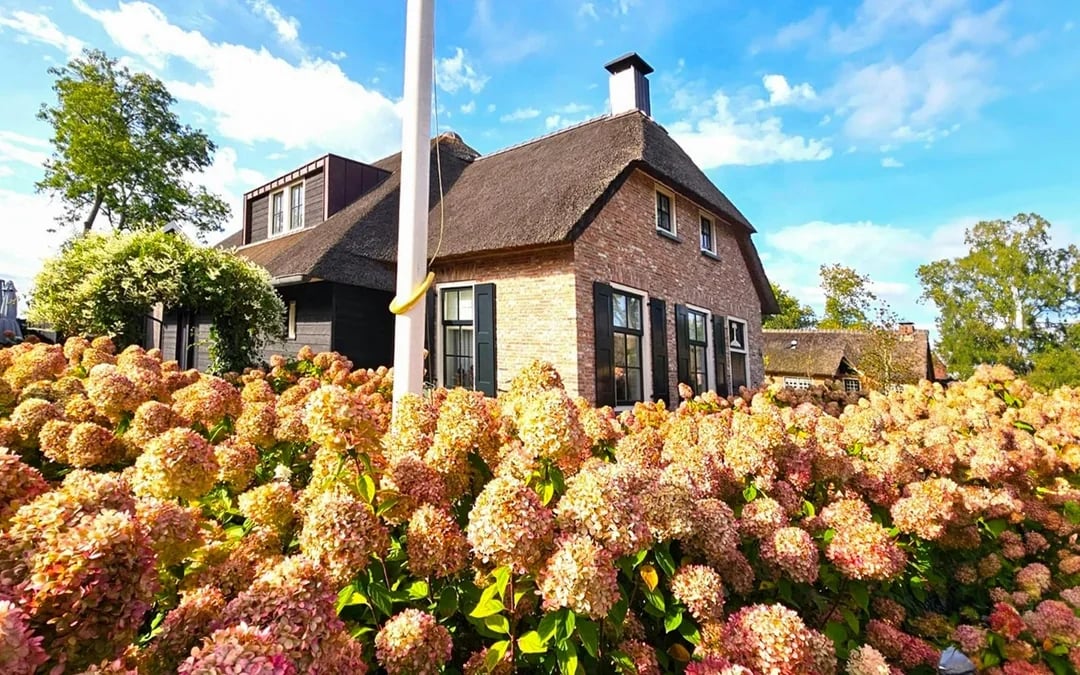 From Amsterdam: Giethoorn Day Trip with Boat Ride & Walking Tour Image 8