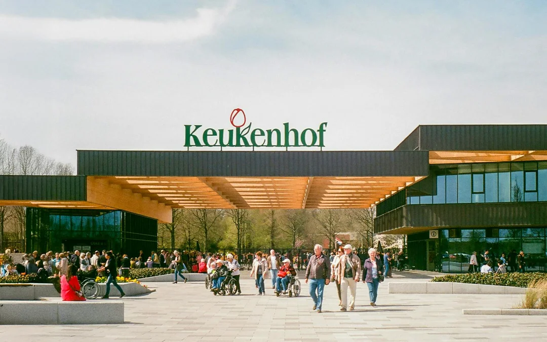 From Amsterdam: Keukenhof & Tulip Farm Full-Day Trip with Windmill Cruise Image 5
