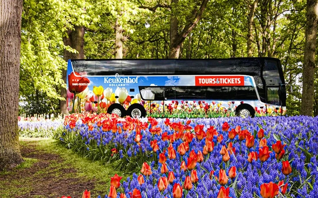 From Amsterdam: Keukenhof & Tulip Farm Full-Day Trip with Windmill Cruise Image 7