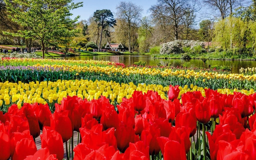 From Amsterdam: Keukenhof Expert Guided Tour with Round-Trip Transfers Image 2