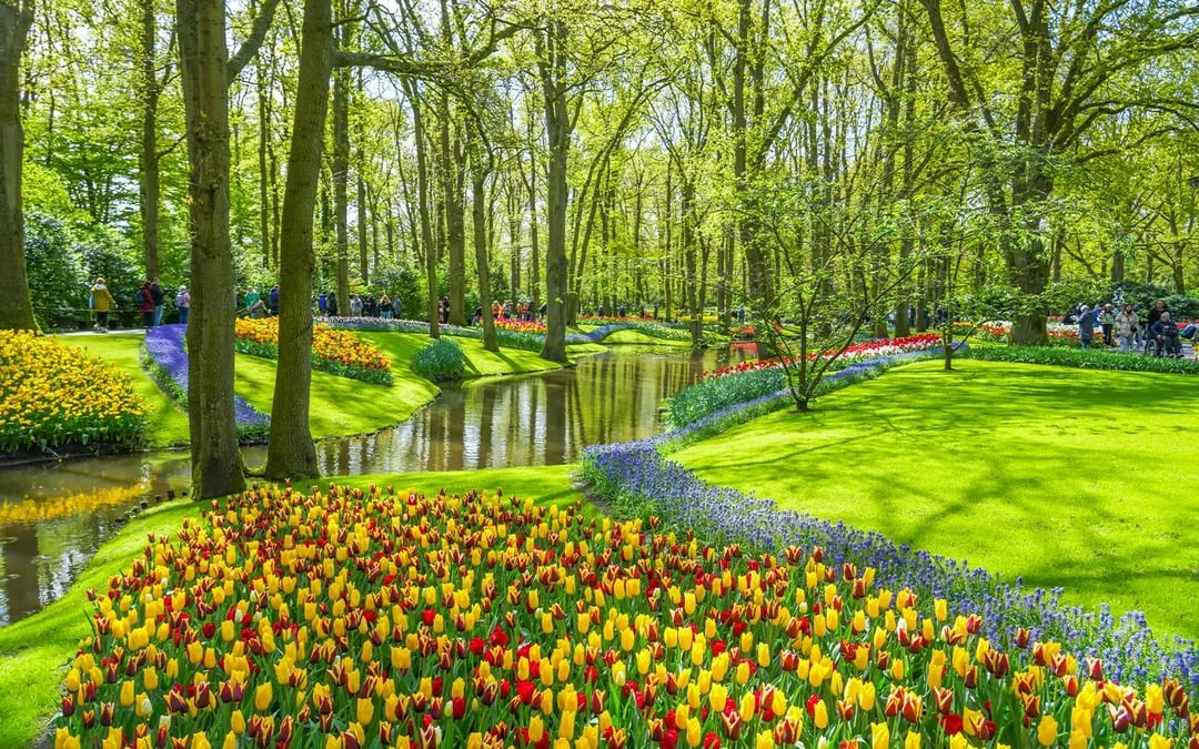 From Amsterdam: Keukenhof Expert Guided Tour with Round-Trip Transfers Image 12