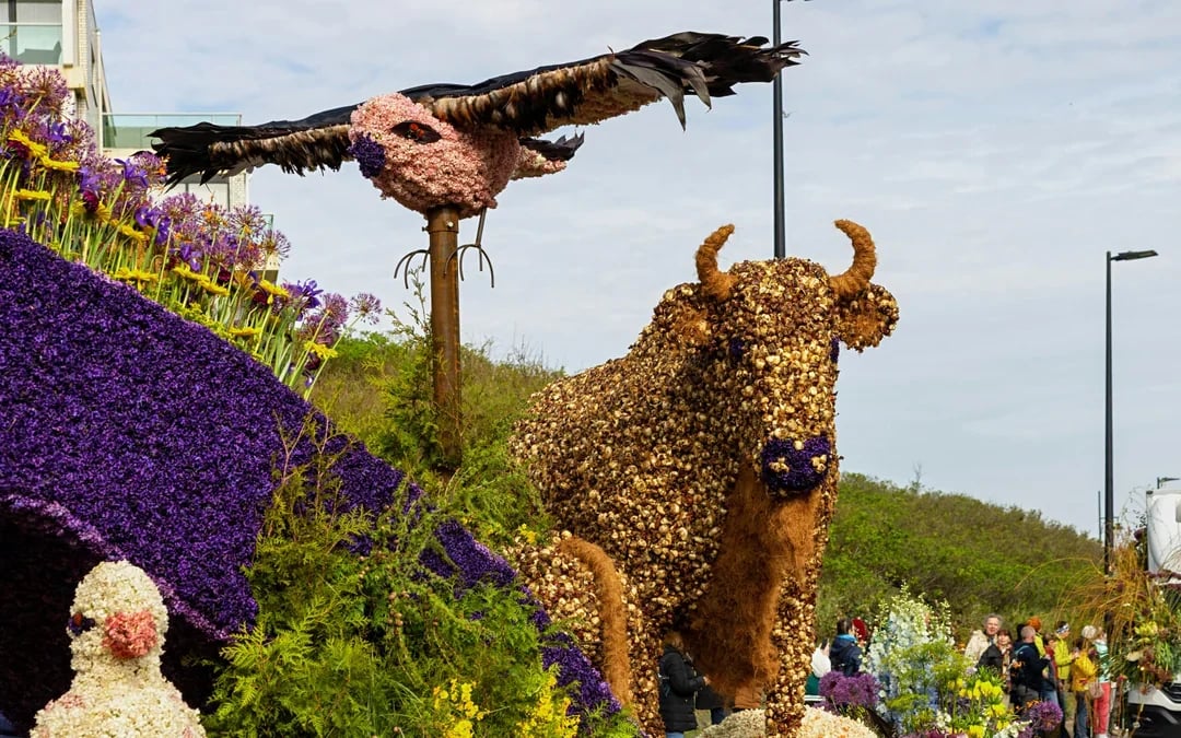 From Amsterdam: Keukenhof Guided Tour with Flower Parade Access Image 2