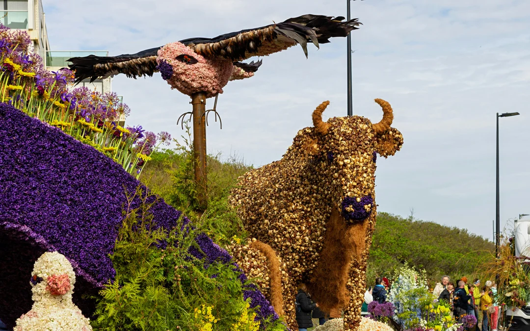From Amsterdam: Keukenhof Guided Tour with Flower Parade Access Image 2