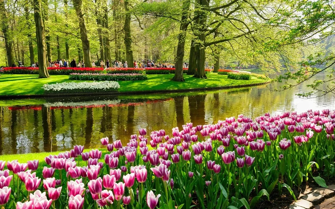 From Amsterdam: Keukenhof Guided Tour with Flower Parade Access Image 5