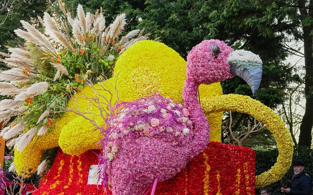 From Amsterdam: Keukenhof Guided Tour with Flower Parade Access Image 6