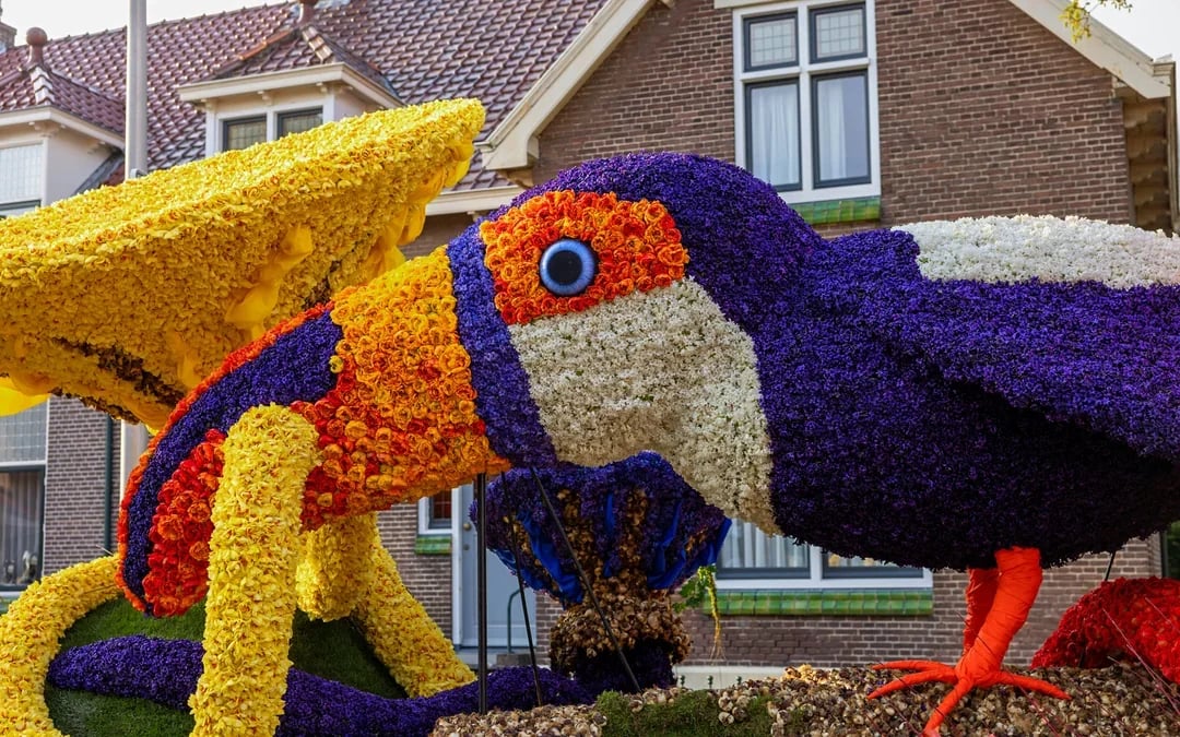 From Amsterdam: Keukenhof Guided Tour with Flower Parade Access Image 7