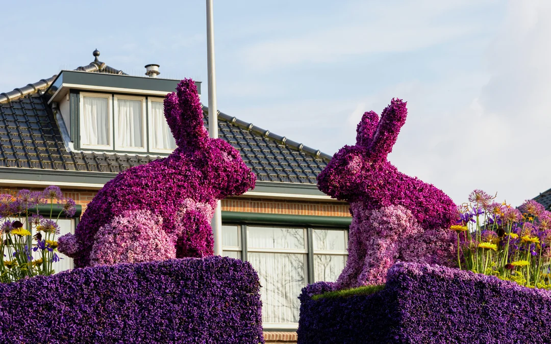 From Amsterdam: Keukenhof Guided Tour with Flower Parade Access Image 8