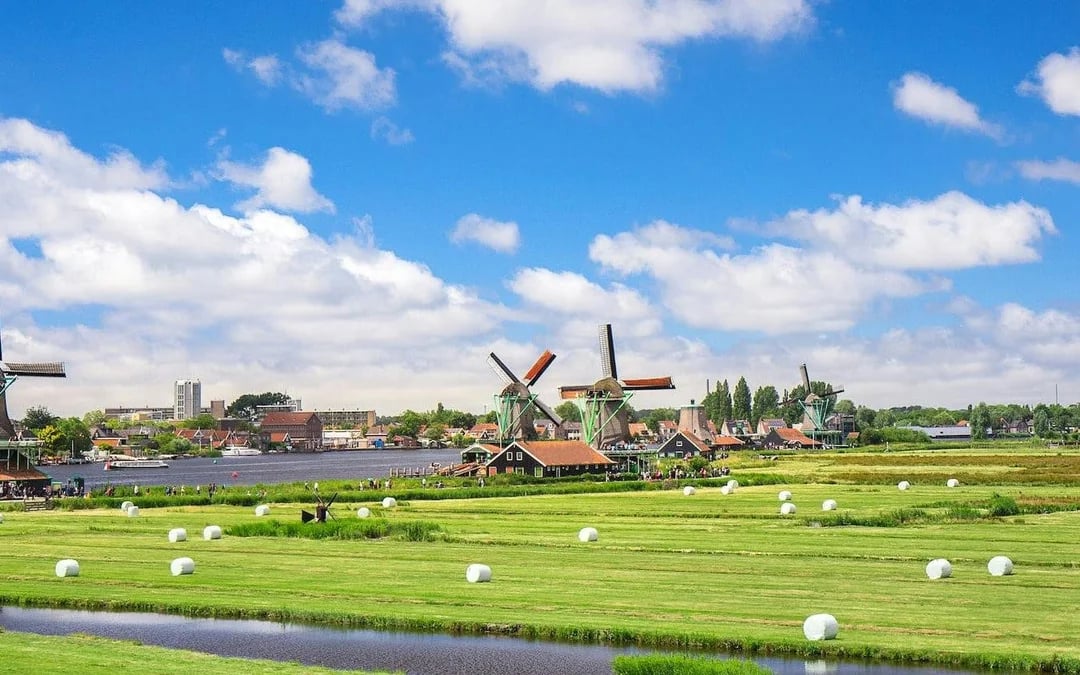 From Amsterdam: Private Day Trip to Giethoorn or Zaanse Schans Windmills Image 4