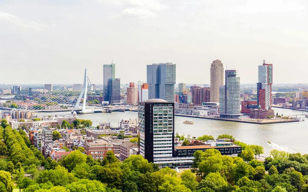 From Amsterdam: Rotterdam, Delft & The Hague Full-Day Tour with Entry to Royal Delft Image 12