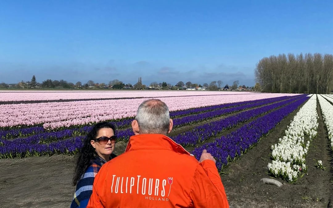 From Amsterdam: Small-Group Tulip Fields Tour with Lunch Image 4