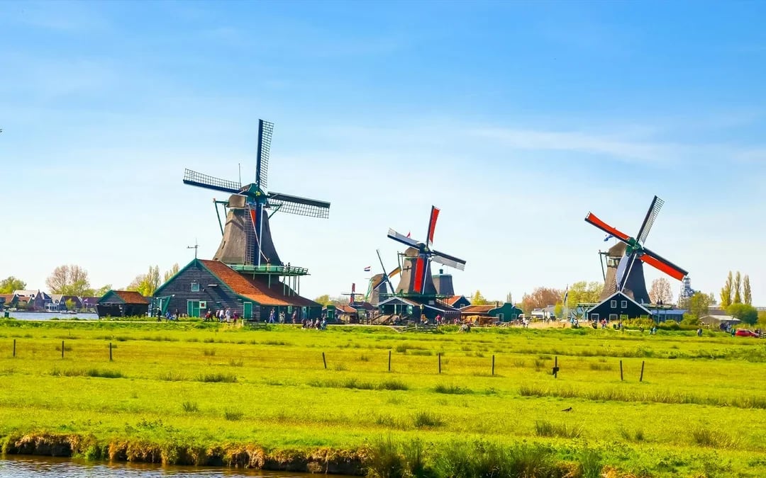 From Amsterdam: Zaanse Schans & Cheese Tasting Guided Tour Image 6