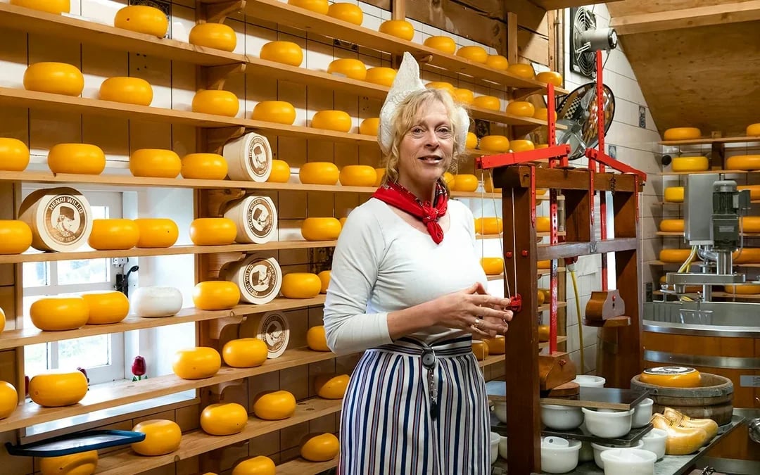 From Amsterdam: Zaanse Schans & Cheese Tasting Self-Guided Tour Image 4