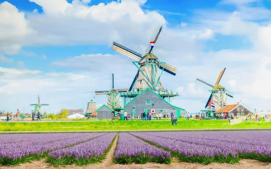 From Amsterdam: Zaanse Schans, Volendam, Edam and Marken Guided Tour Image 1
