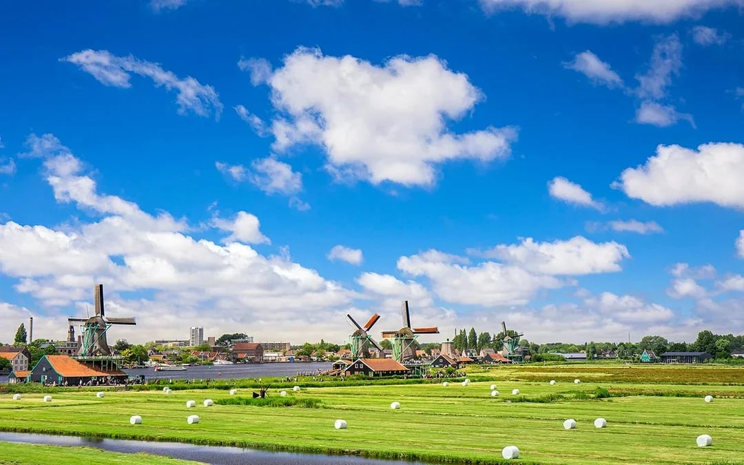 From Amsterdam: Zaanse Schans Windmills Tour in Spanish Image 7