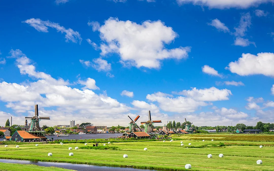 From Amsterdam: Zaanse Schans Windmills Tour in Spanish Image 7