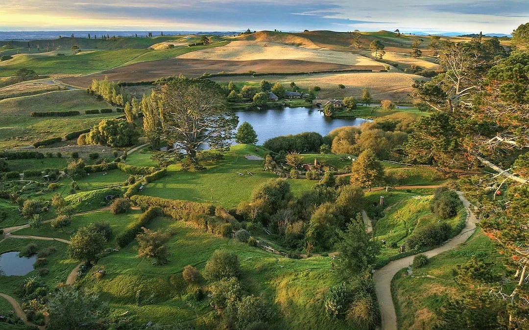 From Auckland: Hobbiton & Te Puia Tour with Festive Lunch & Hangi Dinner Buffet Image 11