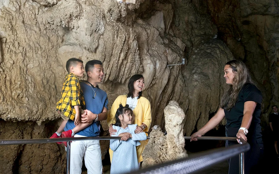 From Auckland: Hobbiton Movie Set & Waitomo Glowworms Caves Signature Guided Tour Image 4