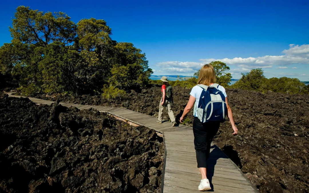 From Auckland: Rangitoto Island Ferry Tickets Image 3