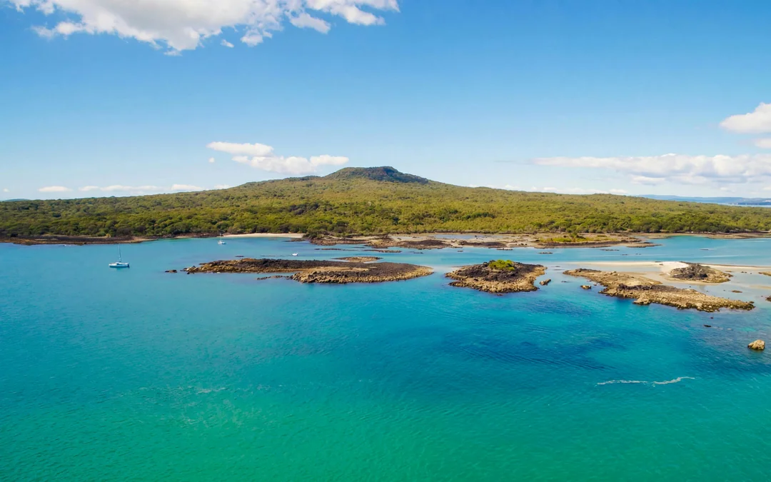 From Auckland: Rangitoto Island Ferry Tickets Image 7