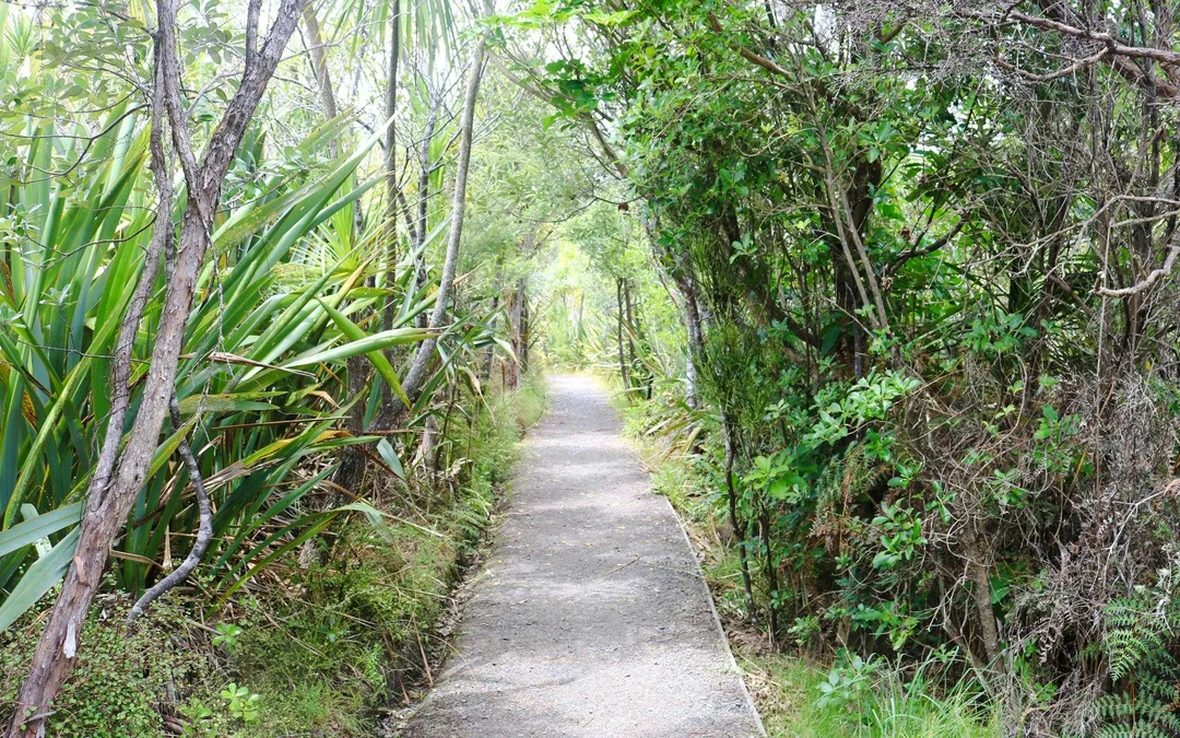 From Auckland: Tiritiri Matangi Island Day Trip with Return Ferry Image 9