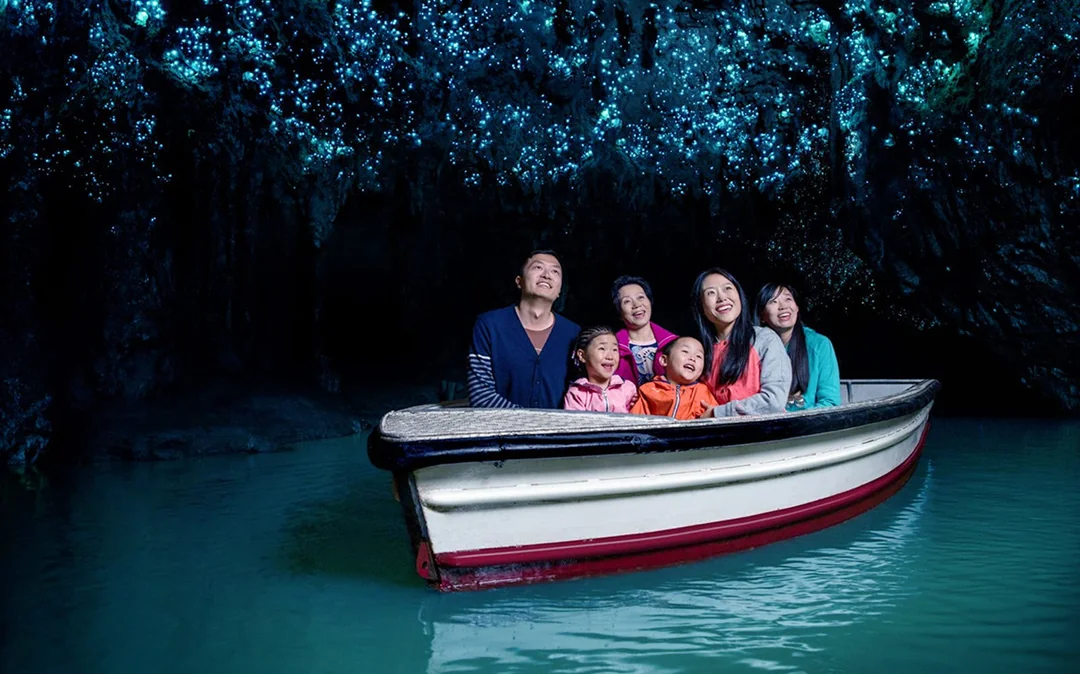 From Auckland: Waitomo Caves, Rotorua & Te Puia Guided Tour Image 1